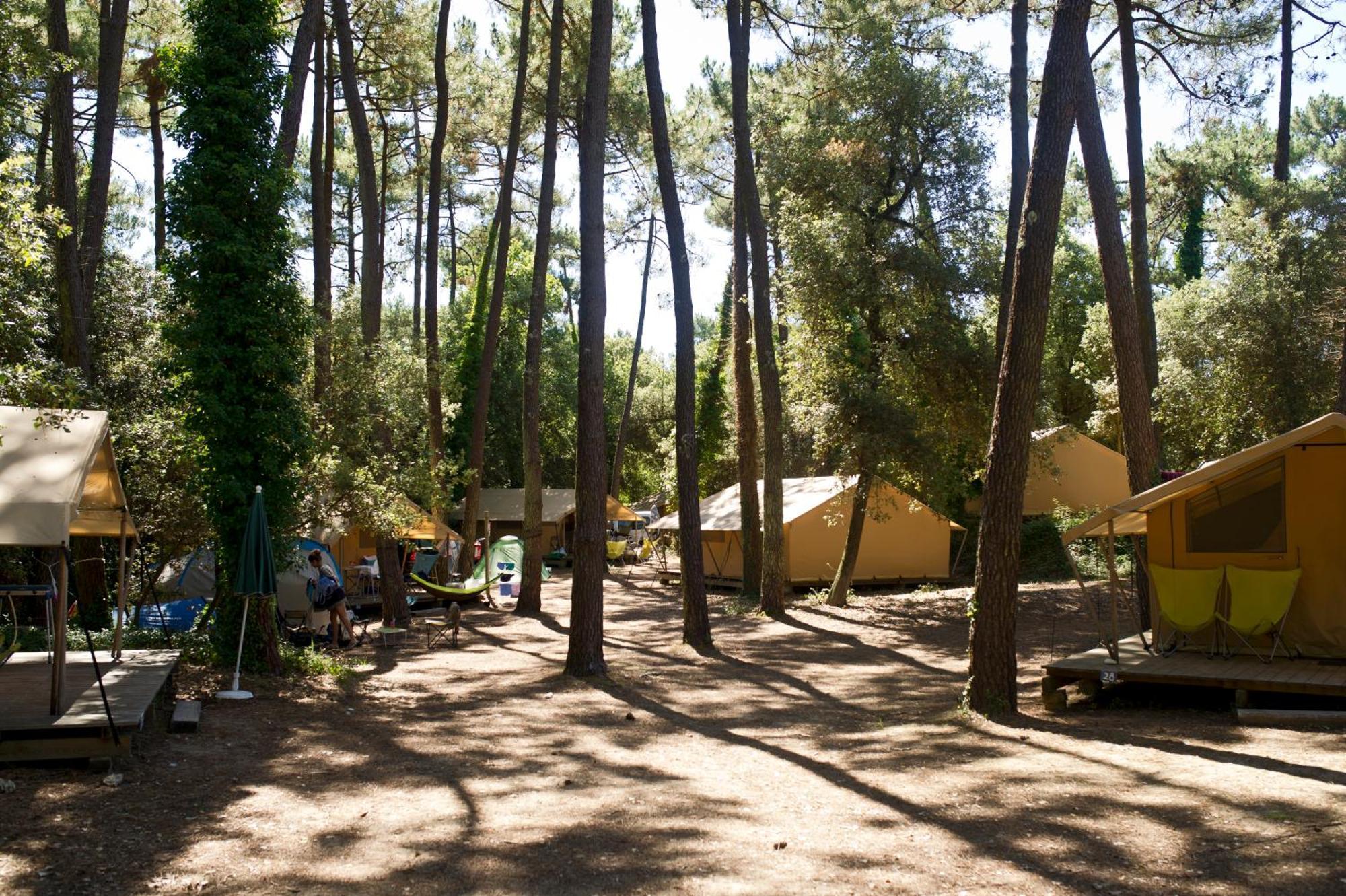 Dolus d'Oléron Huttopia Oleron Les Chenes Verts חדר תמונה